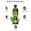 Picture of DABUR AMLA HAIR OIL 180 ML